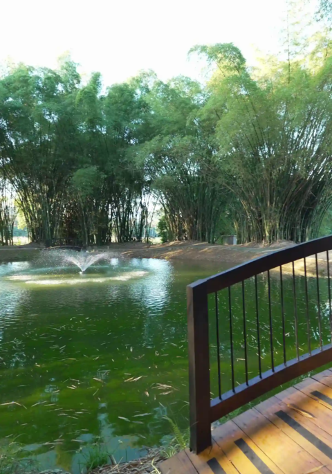 Solares para villas de montaña en proyecto exclusivo en Jarabacoa
