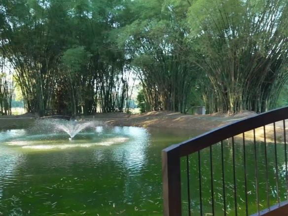 Solares para villas de montaña en proyecto exclusivo en Jarabacoa